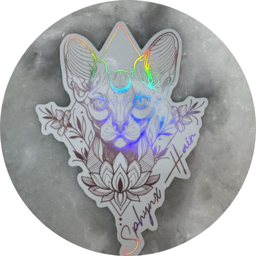 Sticker of a cat with floral designs on a moon surface background