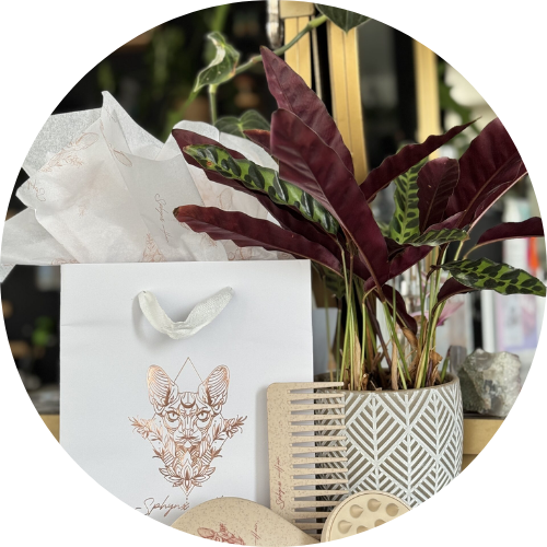 Decorative plant in a pot with a white gift bag featuring a cat design on a blurred background.