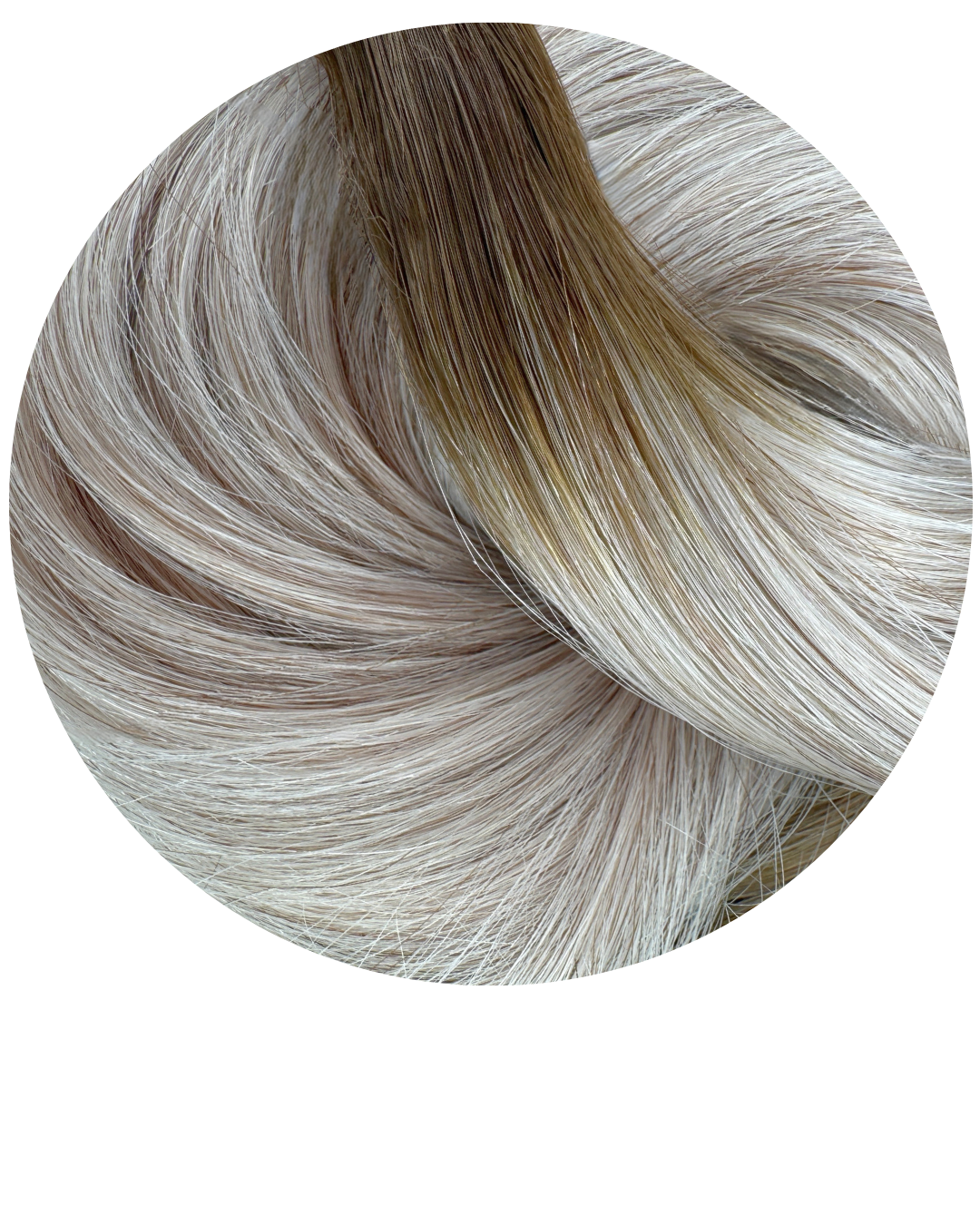 Close-up of brown and ashy white/grey hair strands on a white background