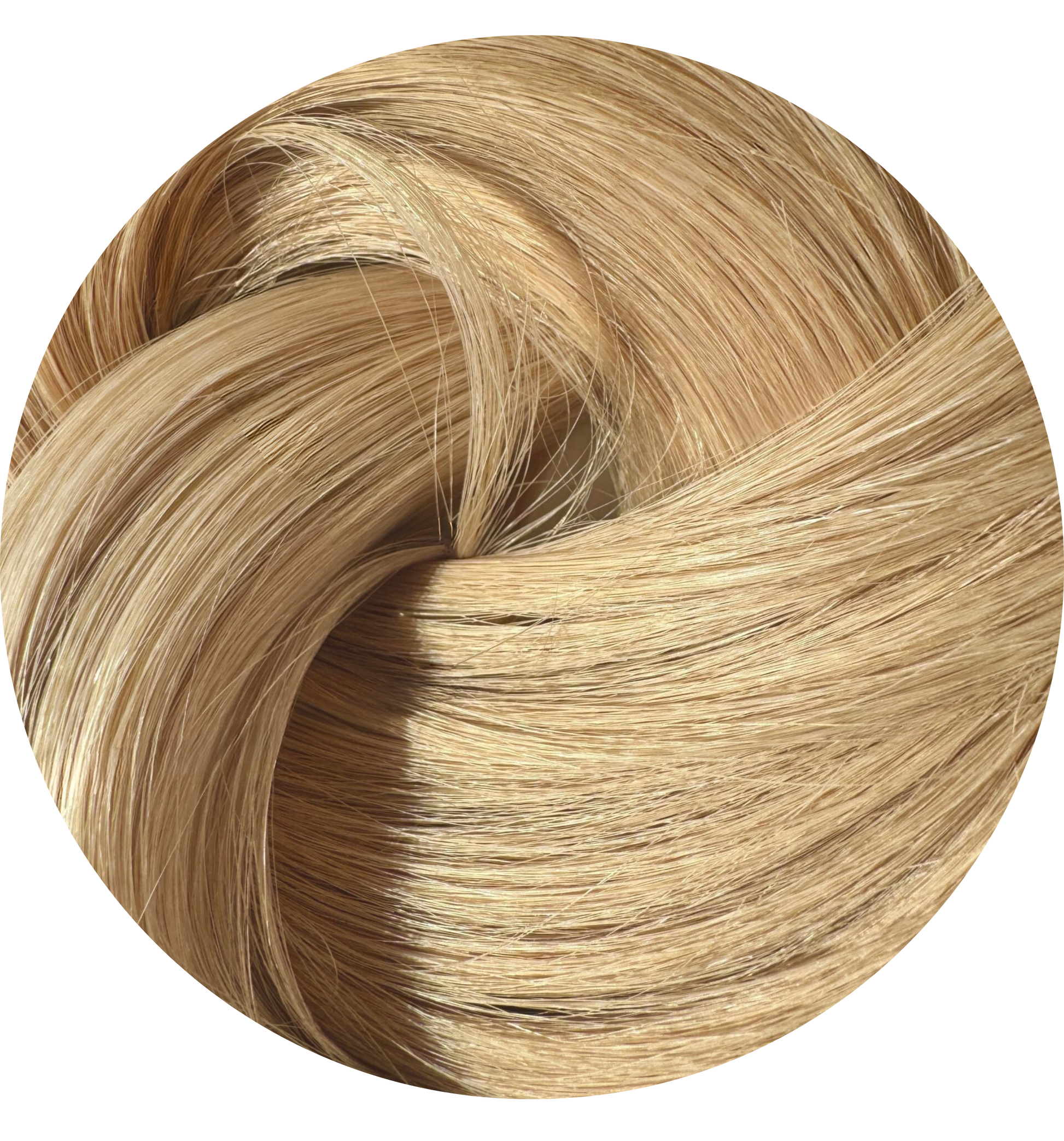Close-up of blonde hair extensions in a circular arrangement on a white background